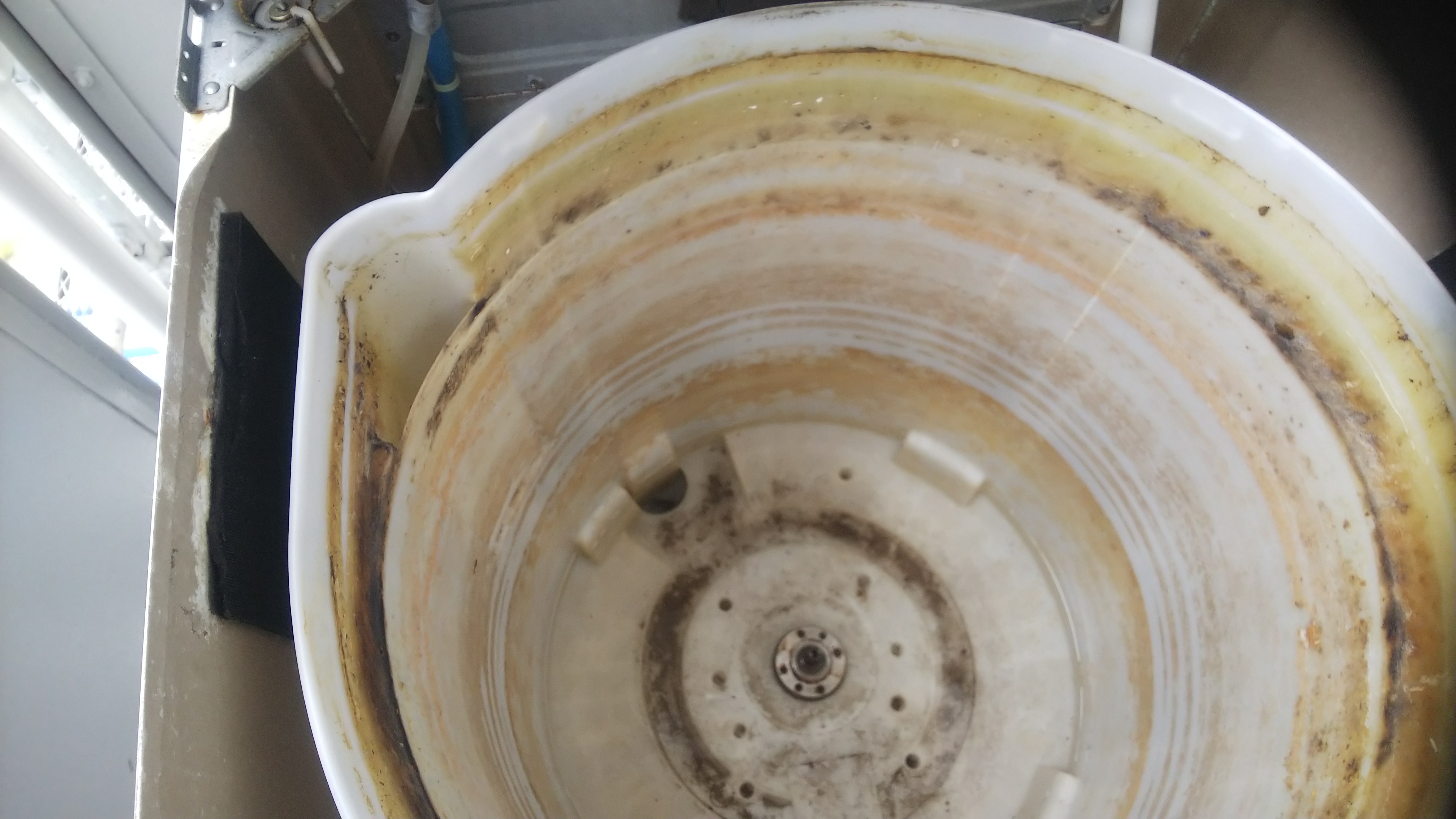 クリーニング前の水槽の画像
